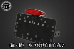 サイドナンバーKIT & スモールスネークアイテールランプ　各車種専用取り付けステー付き