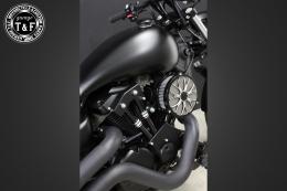 ドラッグスター250　ラグジュアリーエアクリーナーKITフラワー(コントラスト)