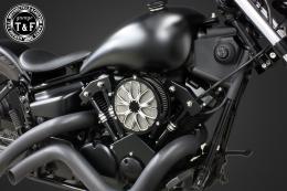 ドラッグスター250　ラグジュアリーエアクリーナーKITフラワー(コントラスト)