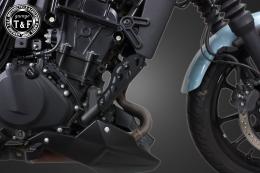 エリミネーター400　ラジエーターホースガード