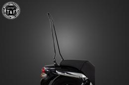 エリミネーター250V　純正フェンダー専用シーシーバーロング(ブラック)