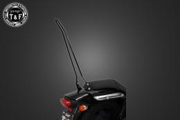 エリミネーター250V　純正フェンダー専用シーシーバーロング(ブラック)