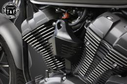 BOLT(ボルト)　ホーンカバーKIT(ブラック)